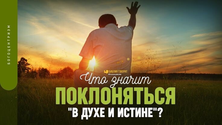 Из открытых источников Яндекса.