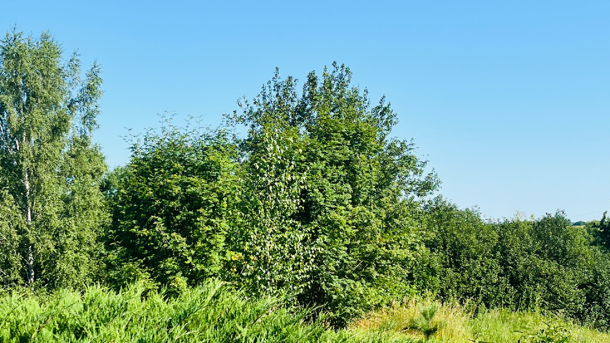 Сразу видно, как поменялись фотографии 