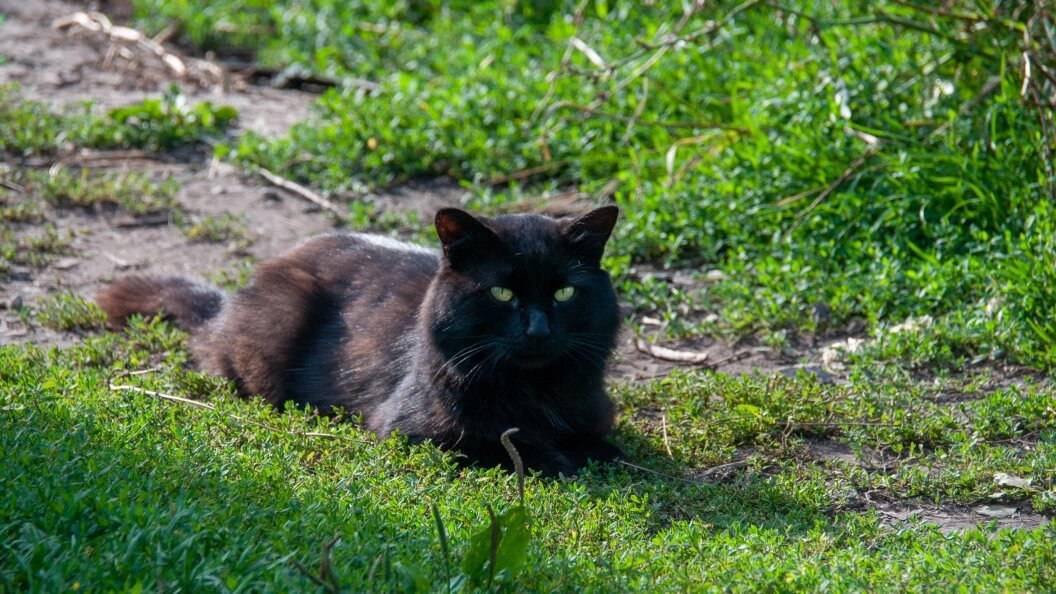    Svetlana Vozmilova/Globallookpress