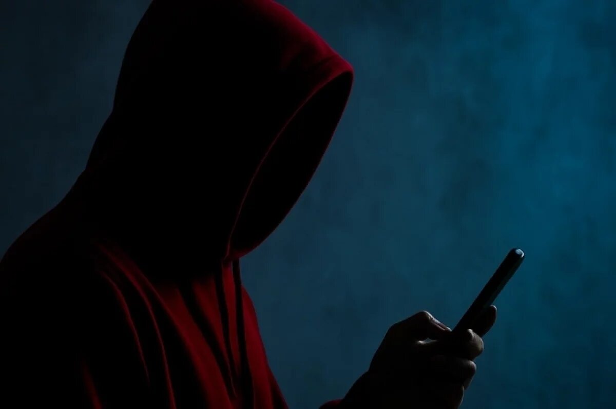    «Дроппер» из ЕАО заплатит полмиллиона пенсионеру из Мордовии