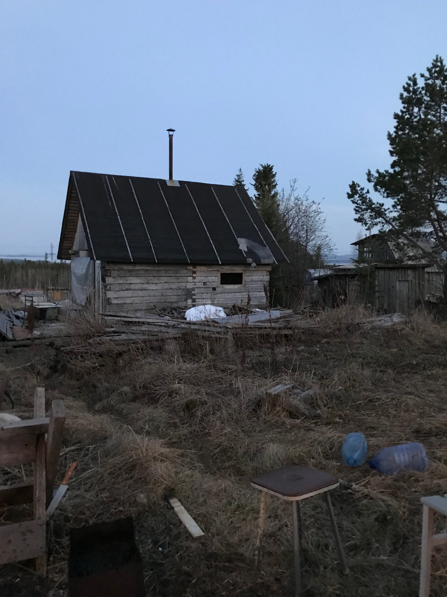 Это что-то из фильма про апокалипсис 