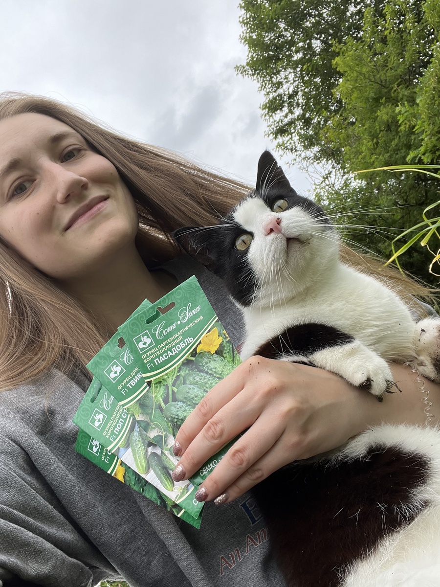 С котиком тестируем семена