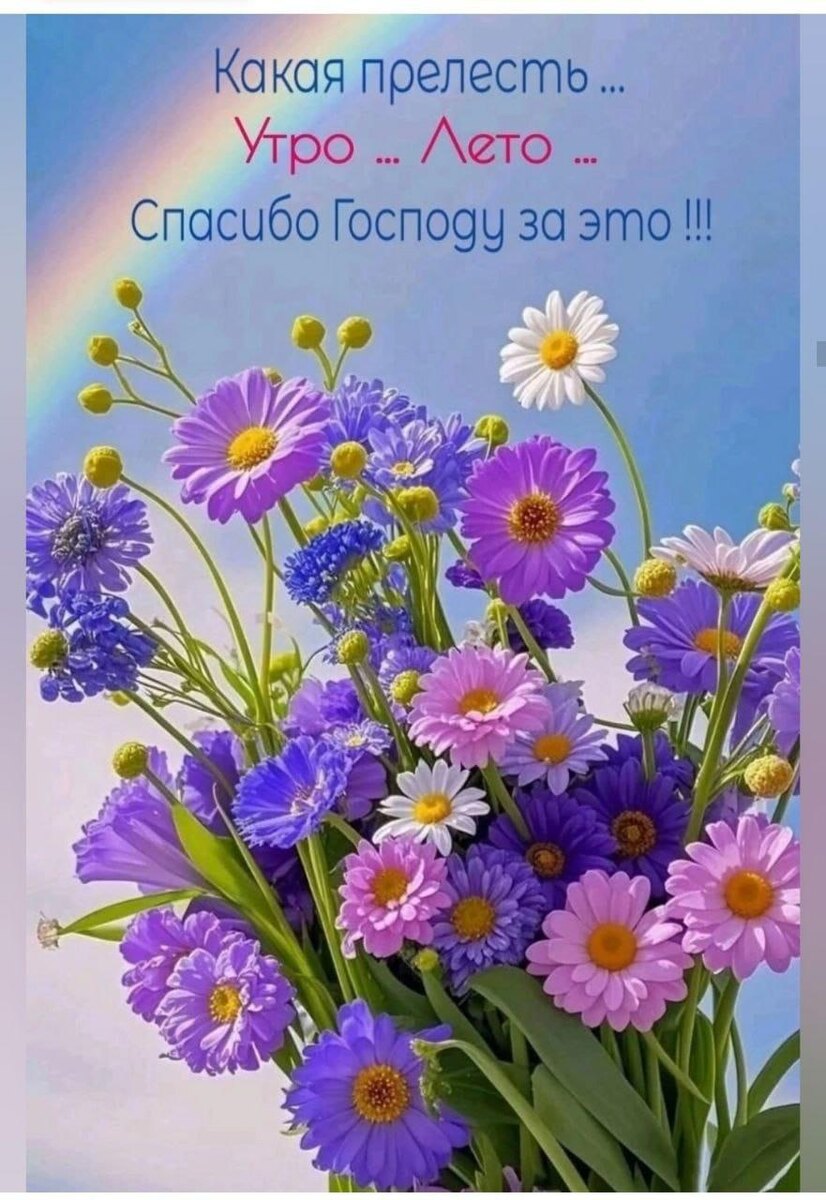 Из открытых источников Интернета