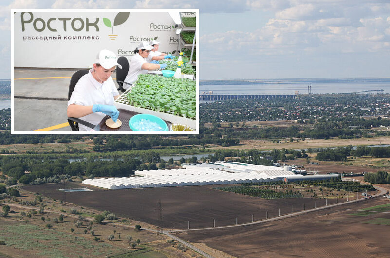    Рассадный комплекс «Росток» (вид с птичьего полёта и внутри; фото: администрация Волгоградской области)