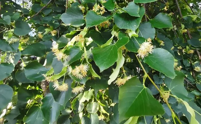     © "Интерфакс"