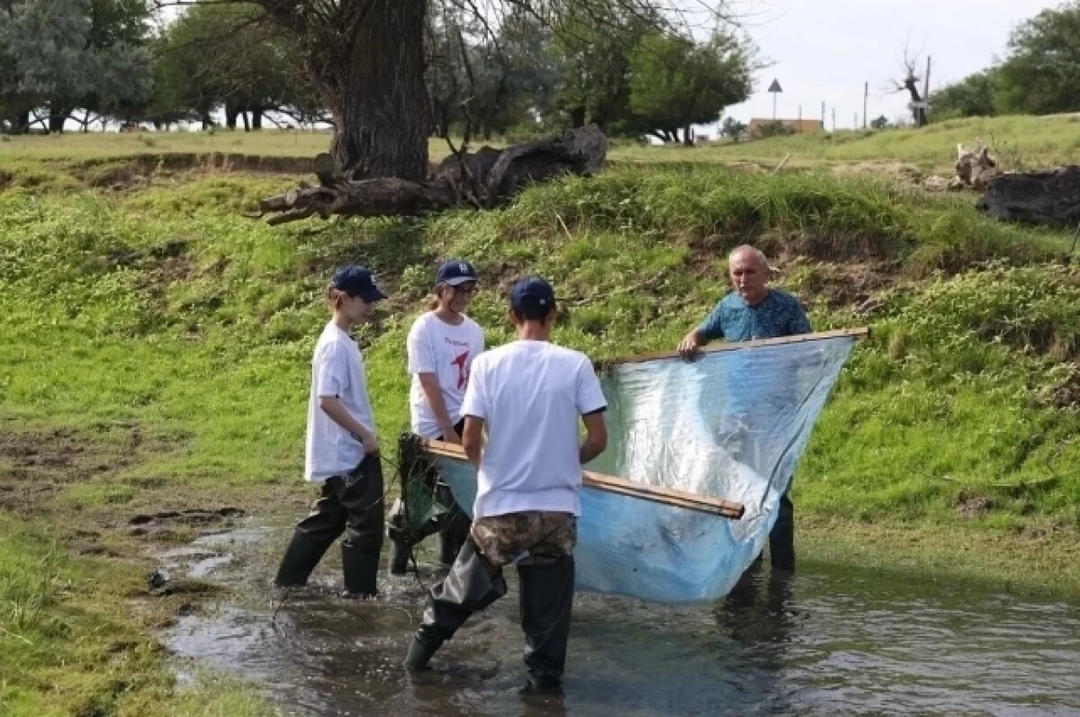    В Астраханской области школьники спасли более четырёх миллионов мальков