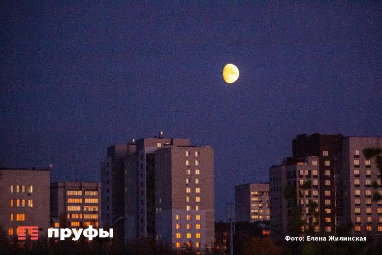    Фото: Пруфы.рф