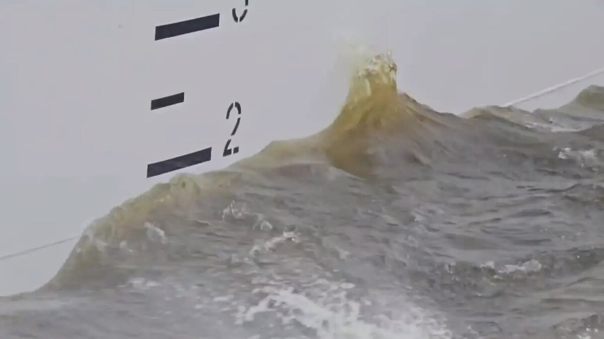    Фото: стоп-кадр видео Дирекции КЗС