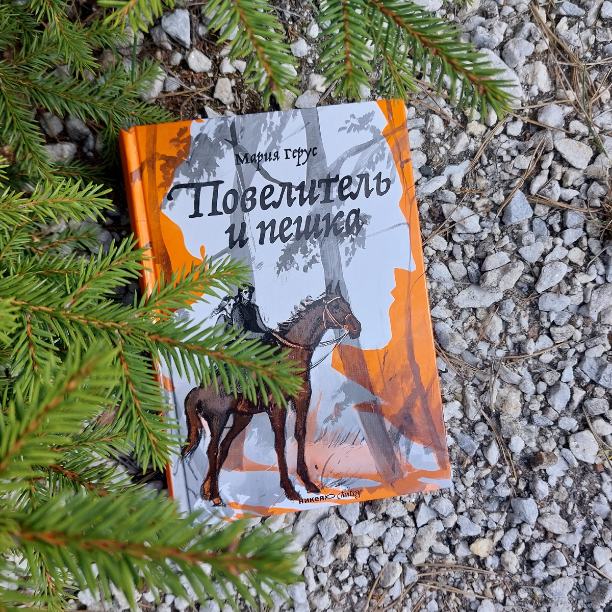 Фото: Козынцева У.