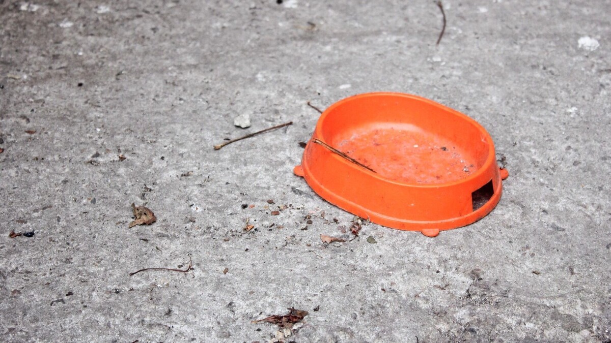     Источник: 1MI