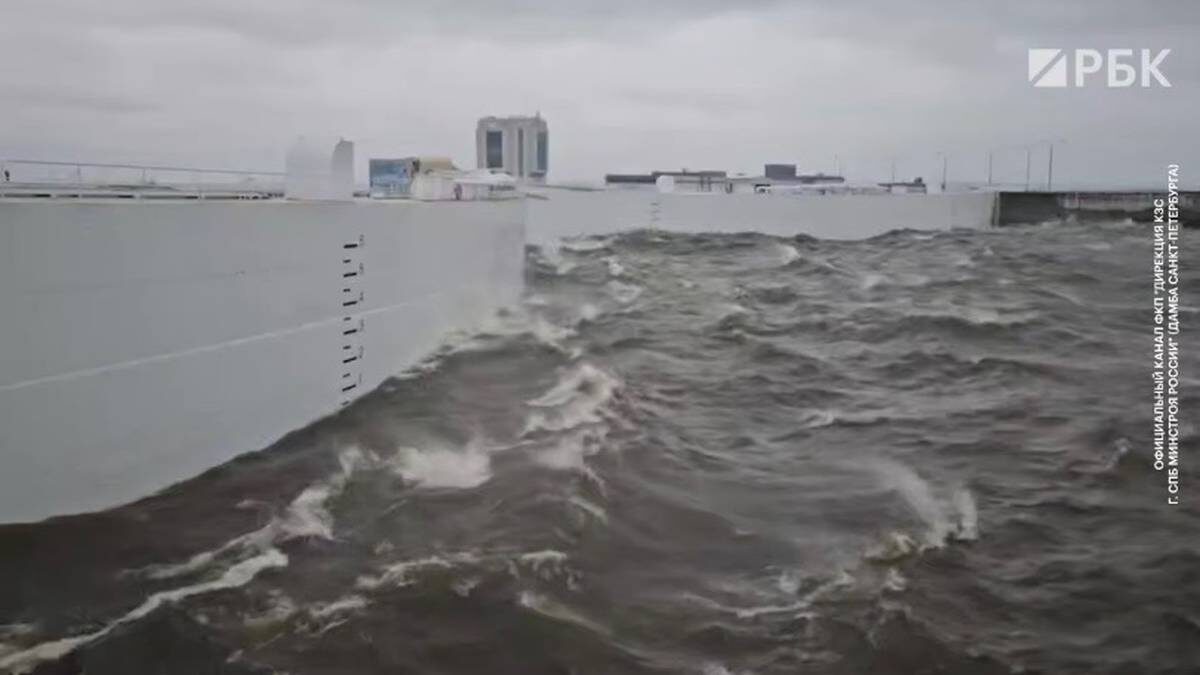    Фото: Telegram / РБК Новости