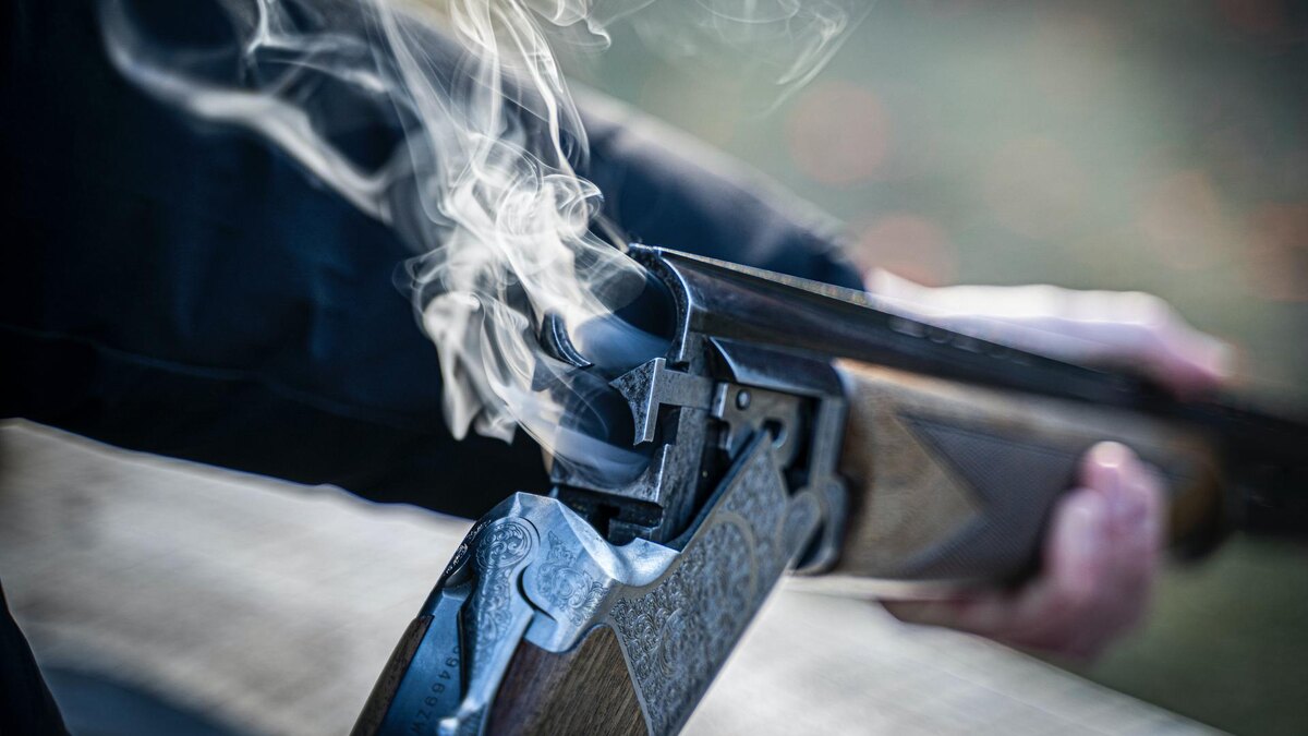    Фото: unsplash.com