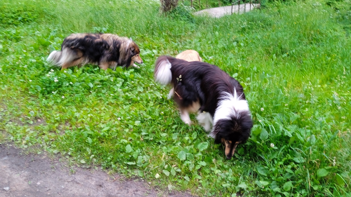 Фото из личного архива