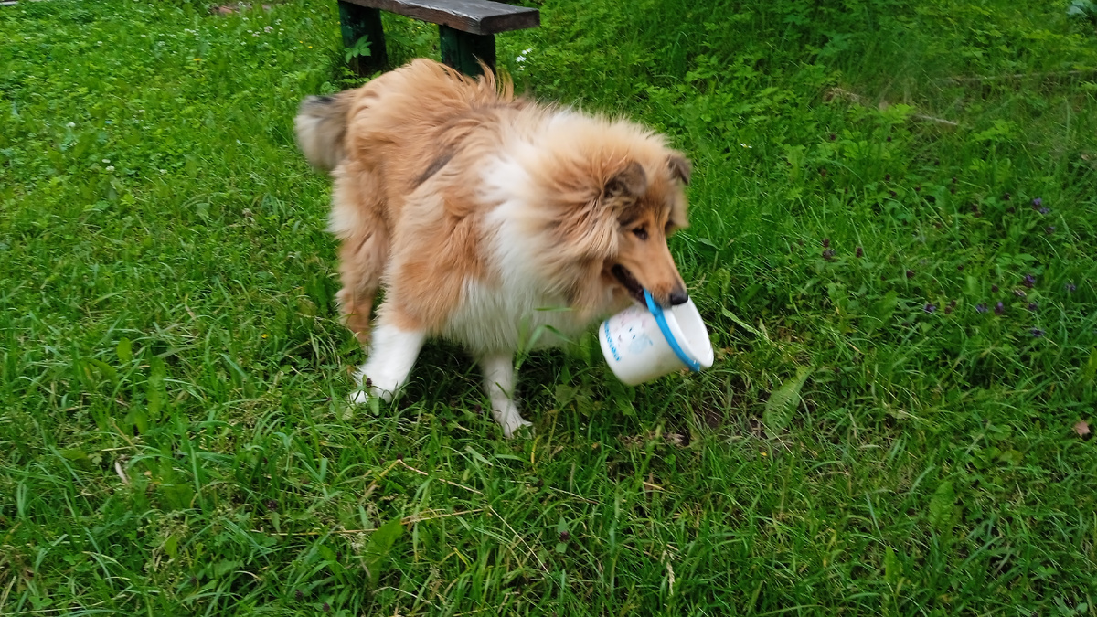 Фото из личного архива