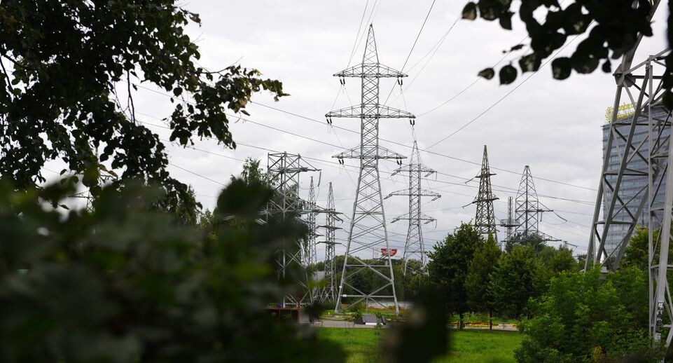    Линия электропередачи в Химках / Медиасток.рф