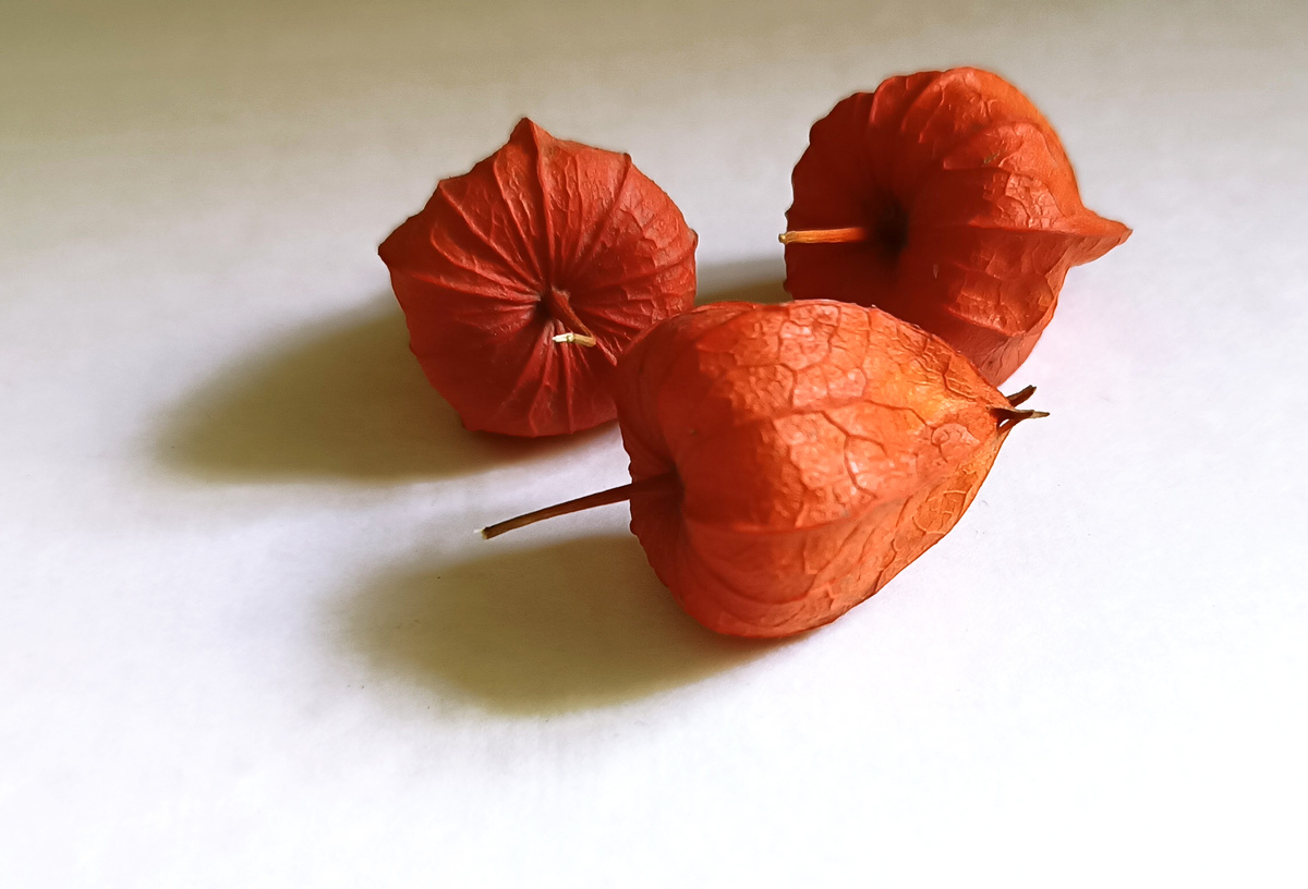 моя натура. фото автора канала