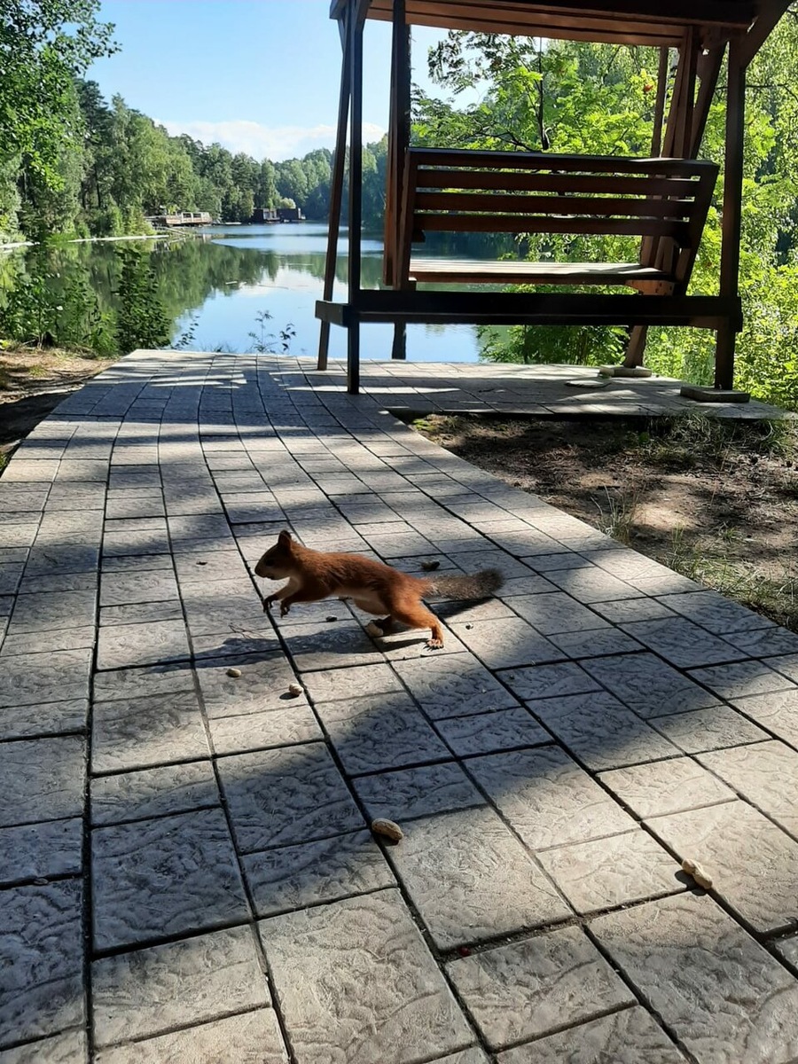 Яндекс карты. Автор: Елена Д.