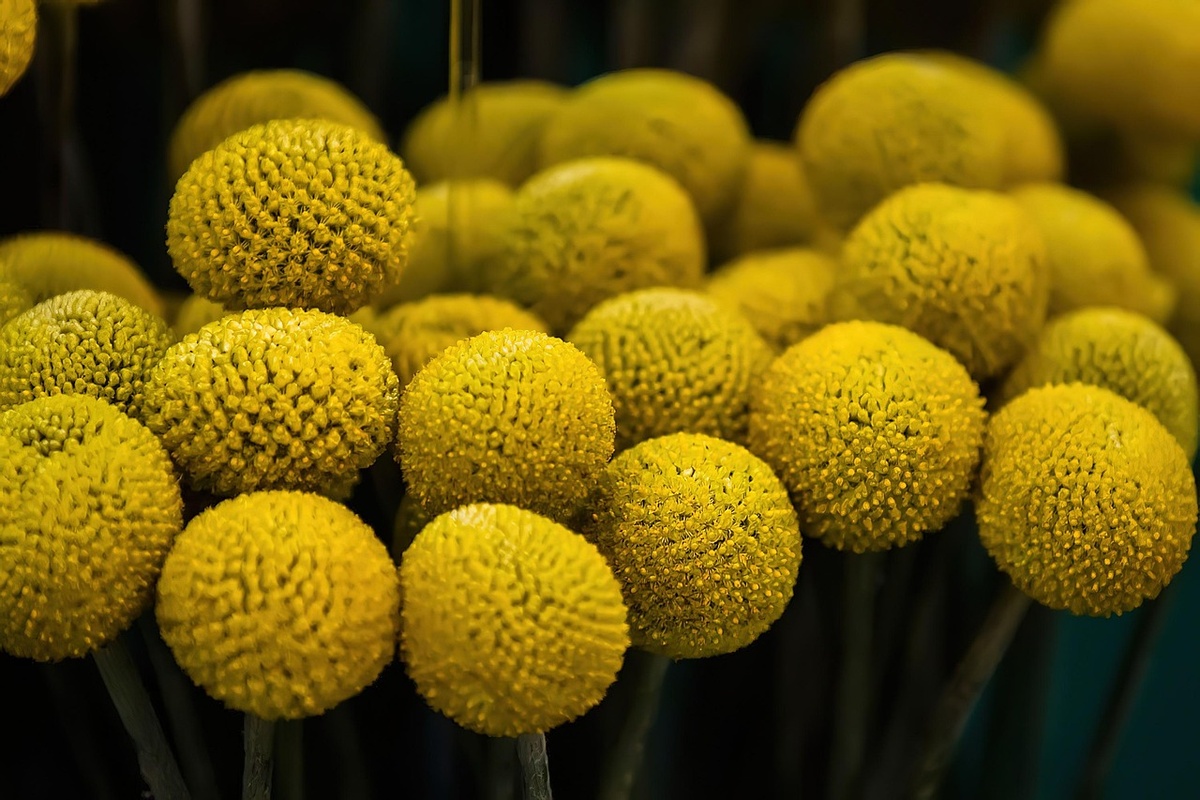 Источник pixabay.com