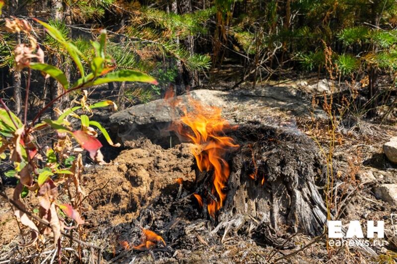    ЕАН / Архивное фото