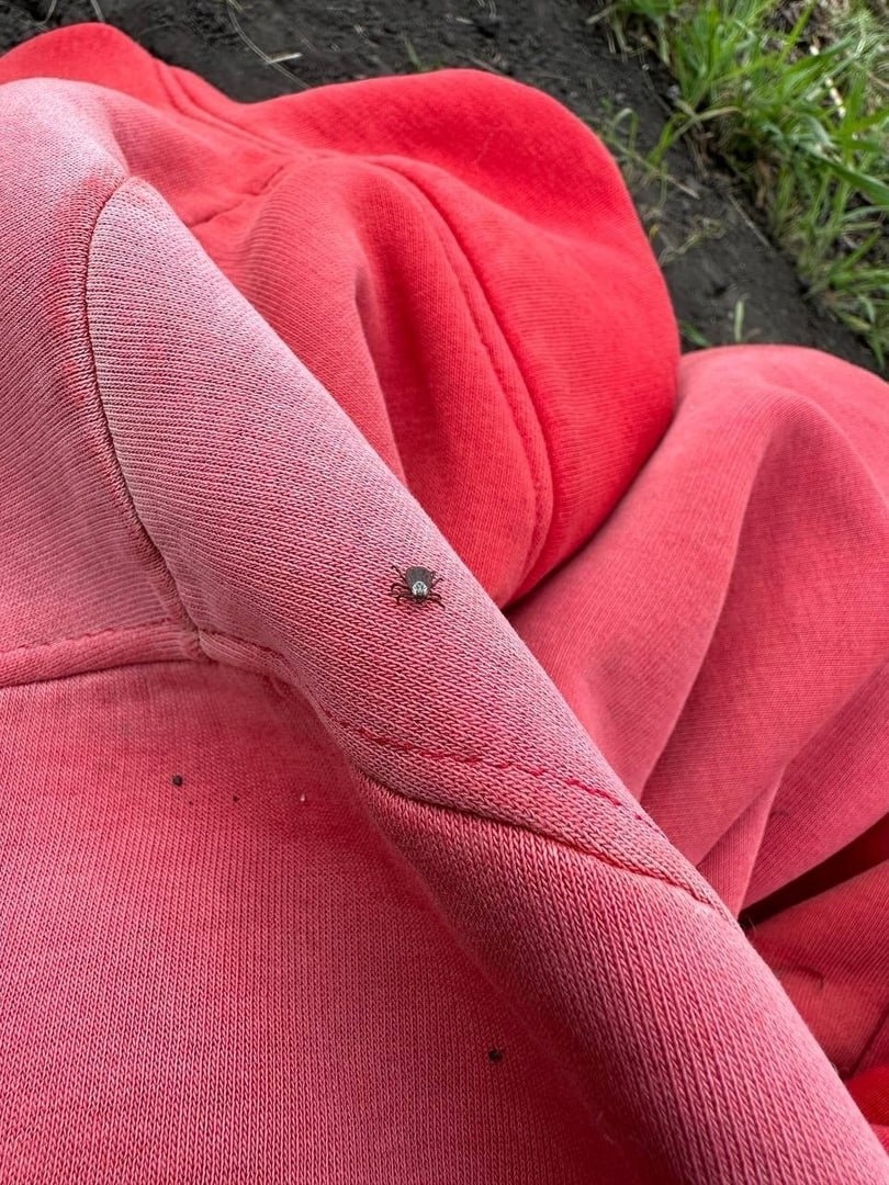 Фото: Правительство Курской области