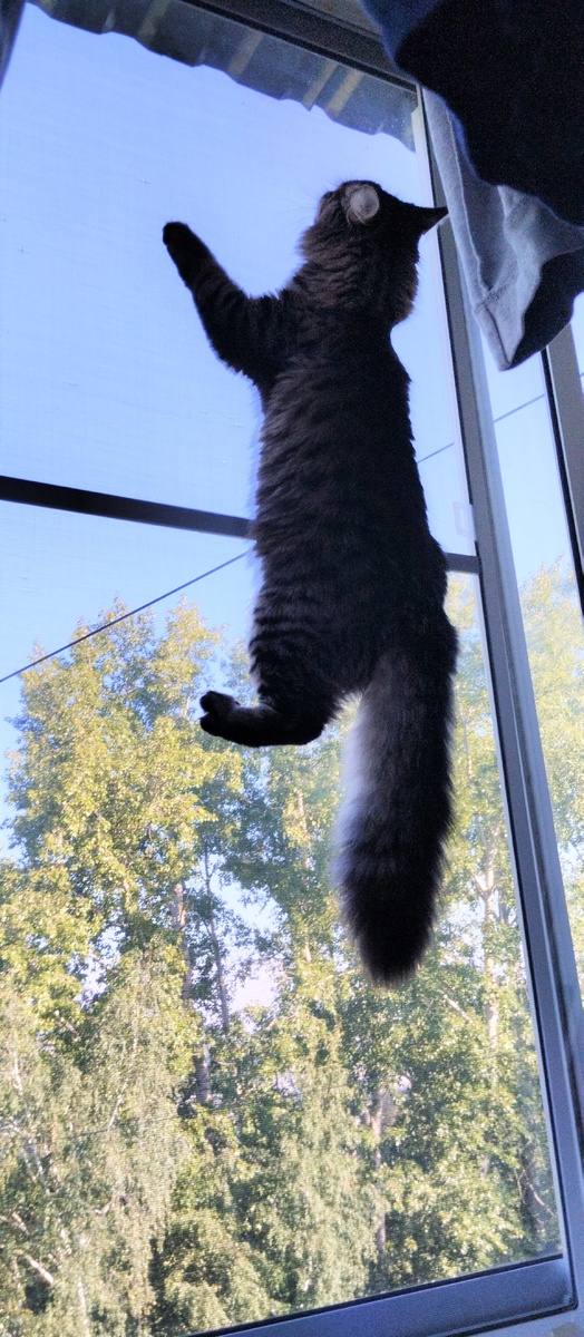 Благодарю Стаса КАРПОВА за фото Женька)