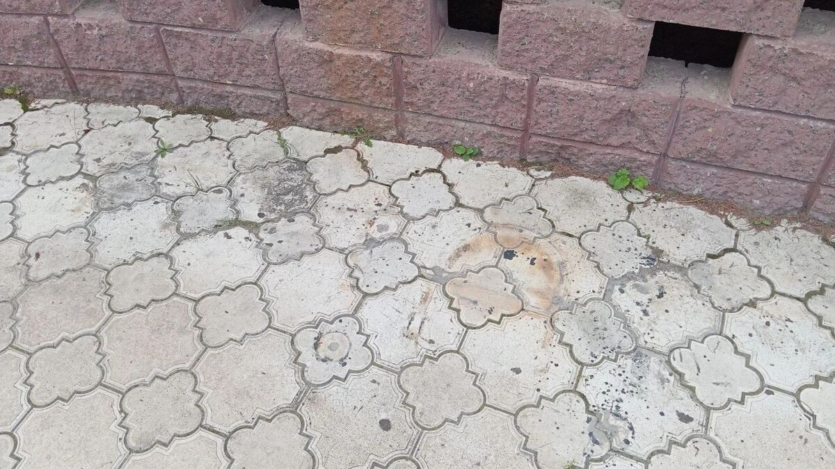     Источник: gorod55.ru