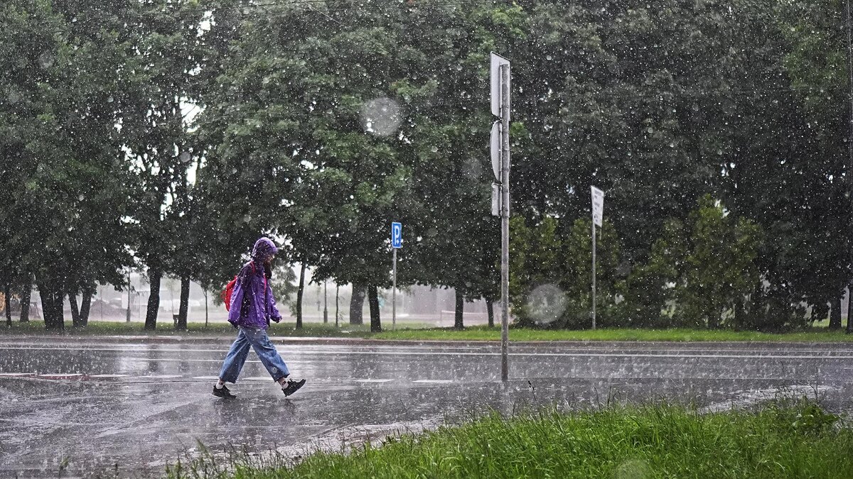    Фото: ИЗВЕСТИЯ/Павел Волков