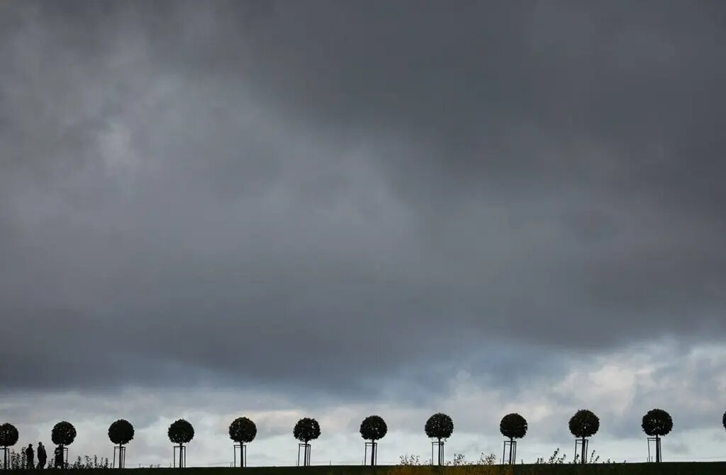    Фото: ГМЗ «Петергоф»