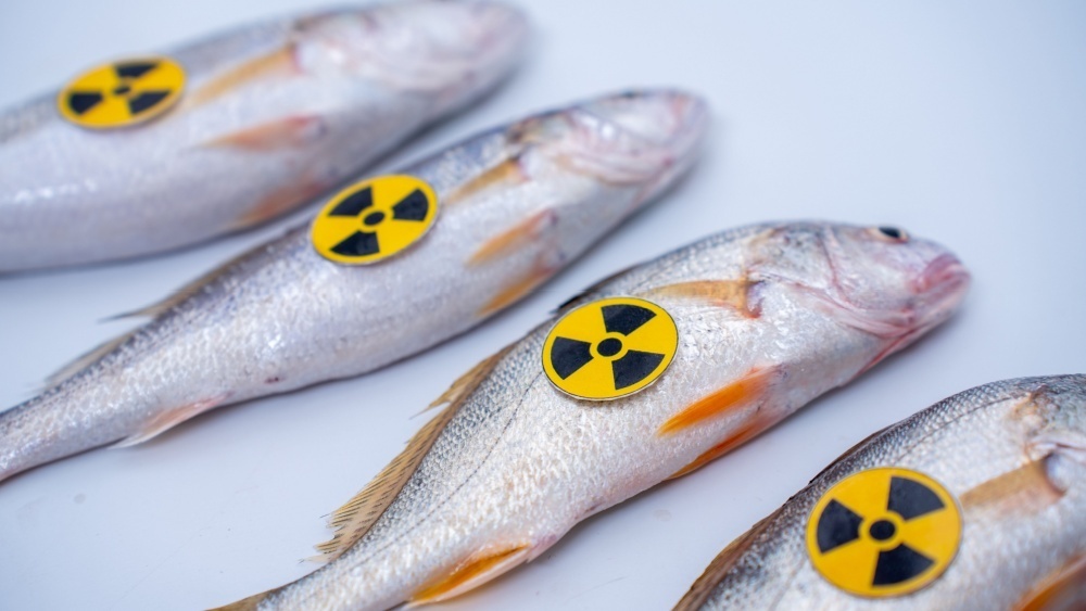     Фото: GreenOak/Shutterstock/FOTODOM