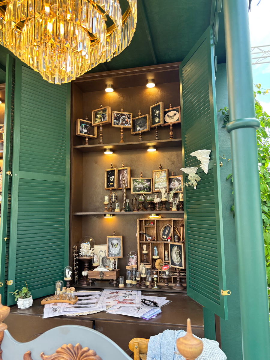 Все фото в статье автора 