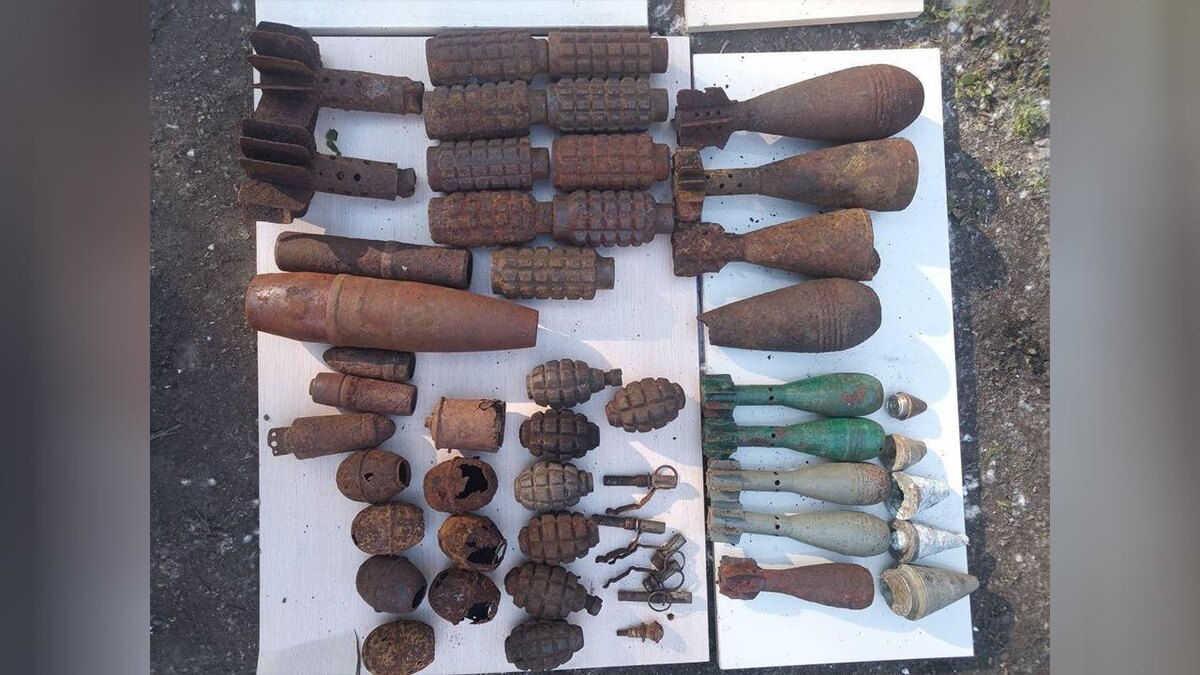    Фото: ГУ Росгвардии по Санкт-Петербургу и Ленинградской области