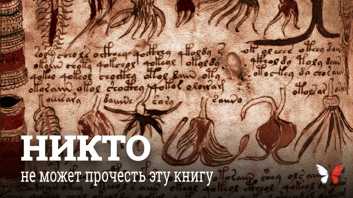 Самая загадочная книга в мире: что скрывает Манускрипт Войнича и почему его не могут расшифровать 600 лет