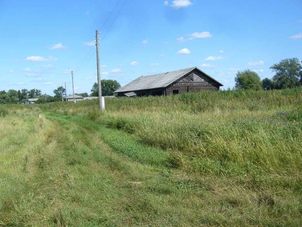    Фото: Wikimedia Commons Василий Шеин