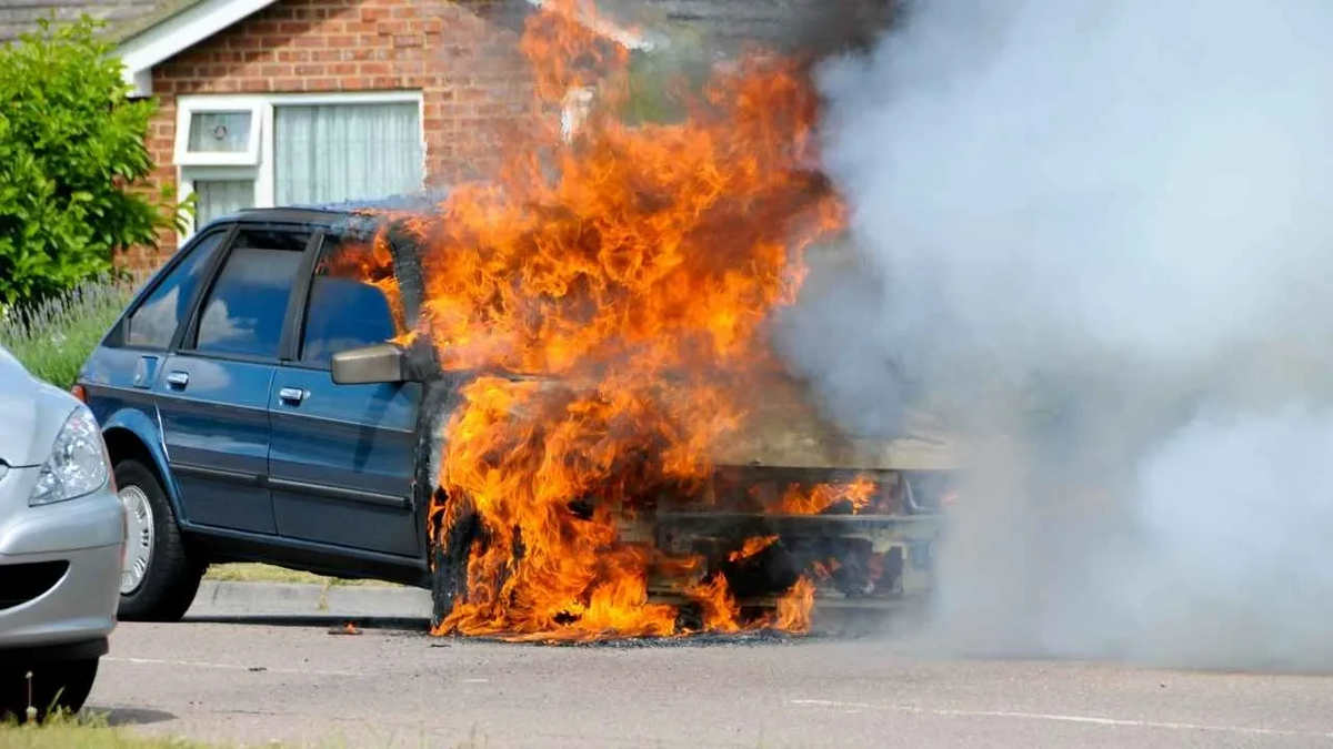 Источник - tgrthaber.com