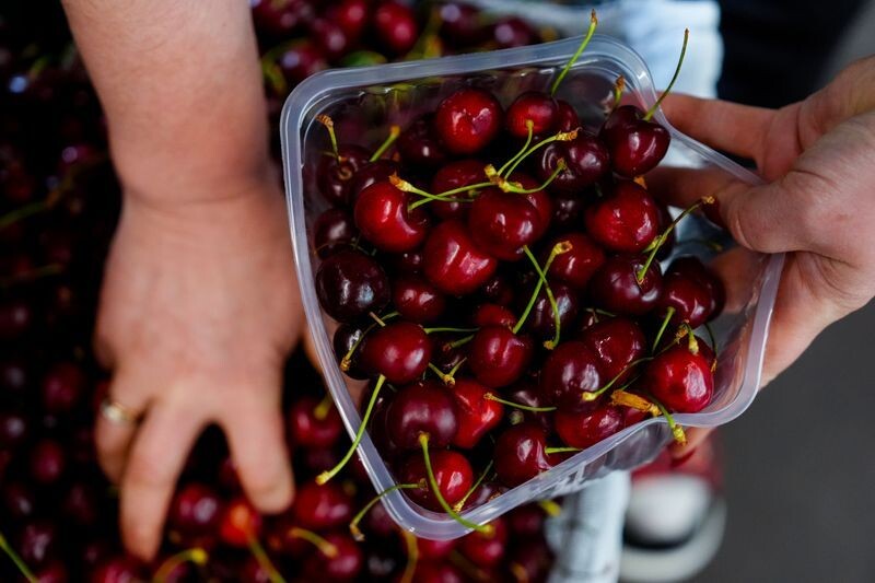     / Источник: © ИЗВЕСТИЯ/Эдуард Корниенко