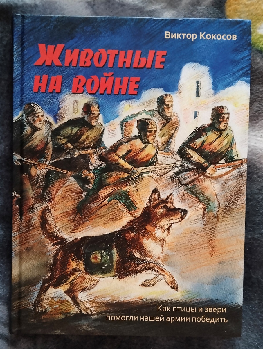 Моя книга
