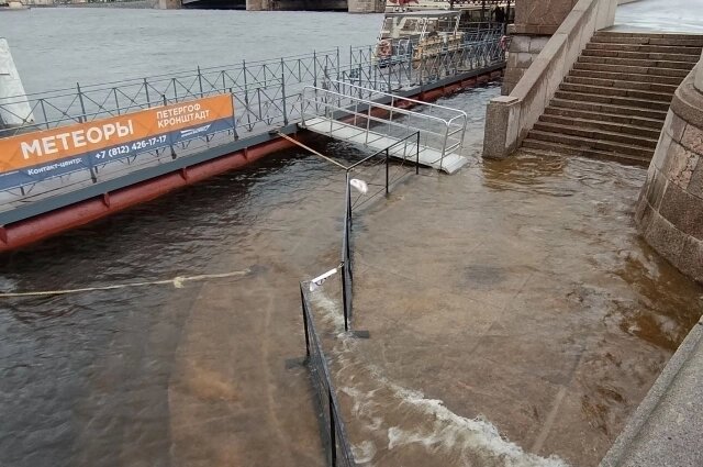    Фото: spb.aif.ru/ Татьяна Швецова