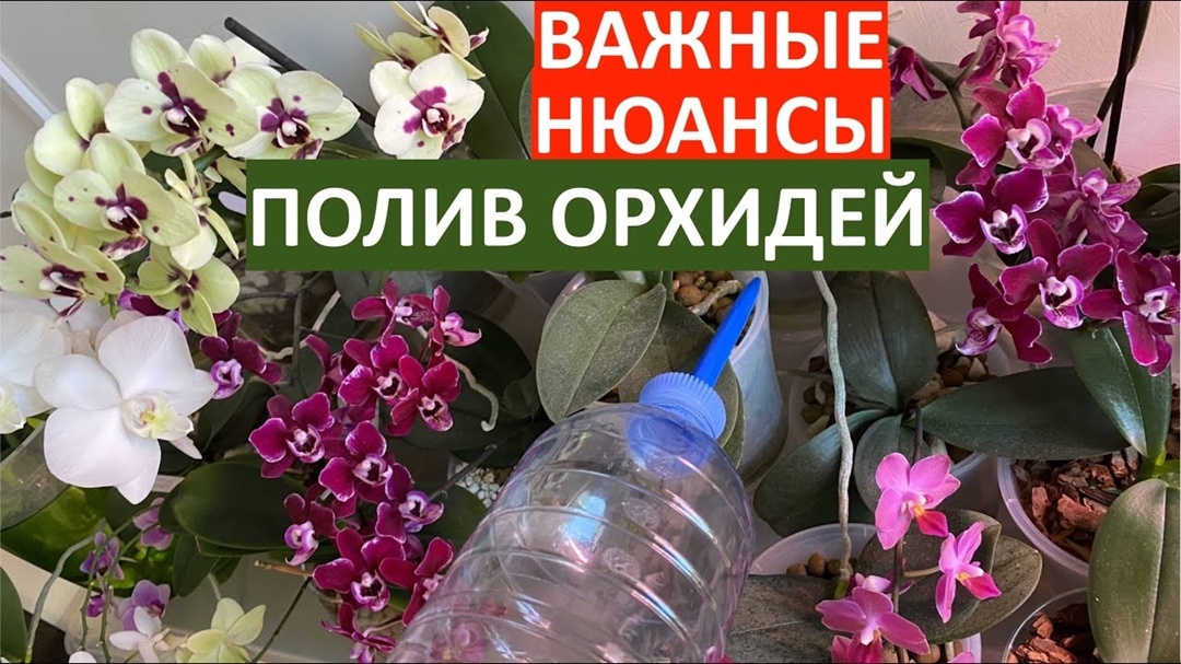 Создать карусель