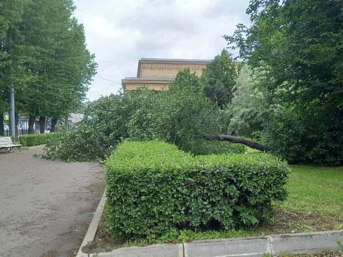    Последствия сильного ветра в Санкт-Петербурге© Фото : Комитет по благоустройству Санкт-Петербурга