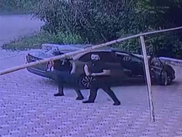    ФОТО: предоставлено автором