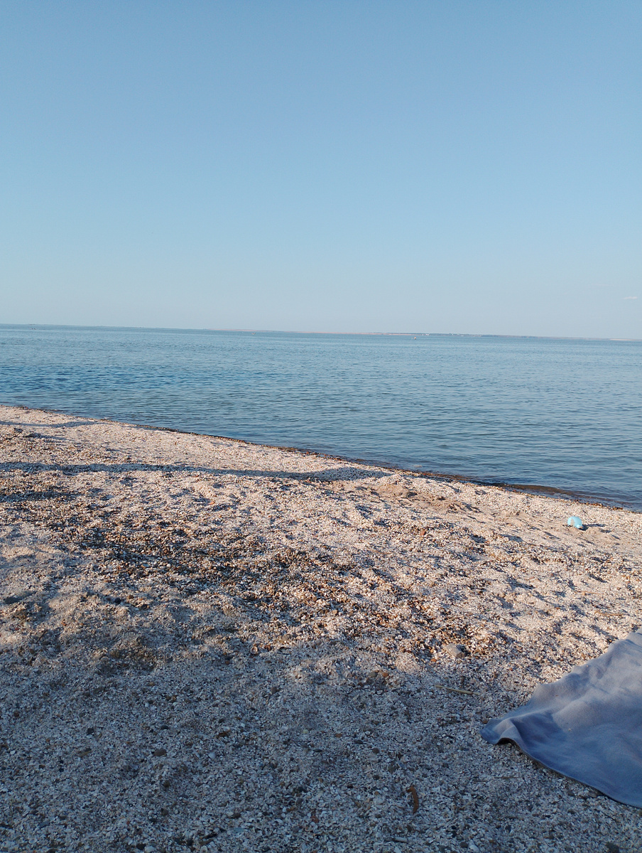 Лиман сегодня    До 50 градусов доходило днем. Сегодня утром наконец прошёл дождик. И я всё же обрела настроение и хочу рассказать о своих приобретениях. 