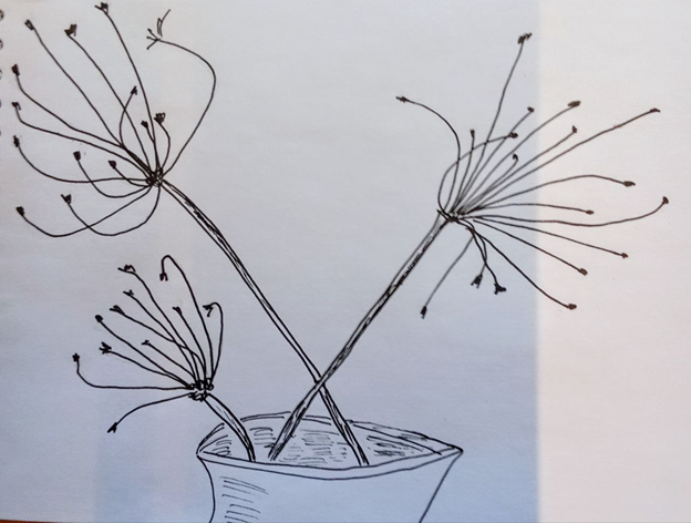 Личное фото