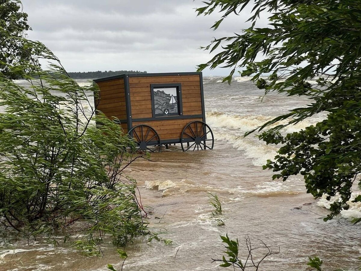     Фото: Telegram @shot_shot