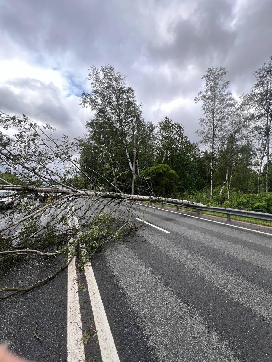     Фото: Telegram @shot_shot