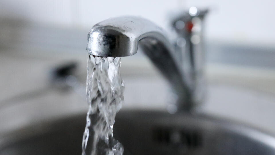 Фото: © www.globallookpress.com/Pogiba Alexandra/news.ru