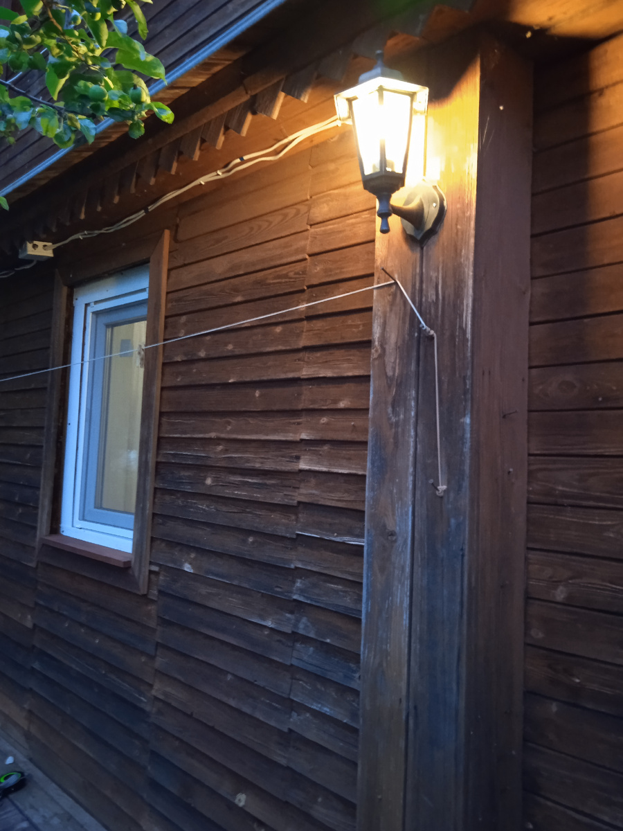 Шершням нравятся деревянные дома