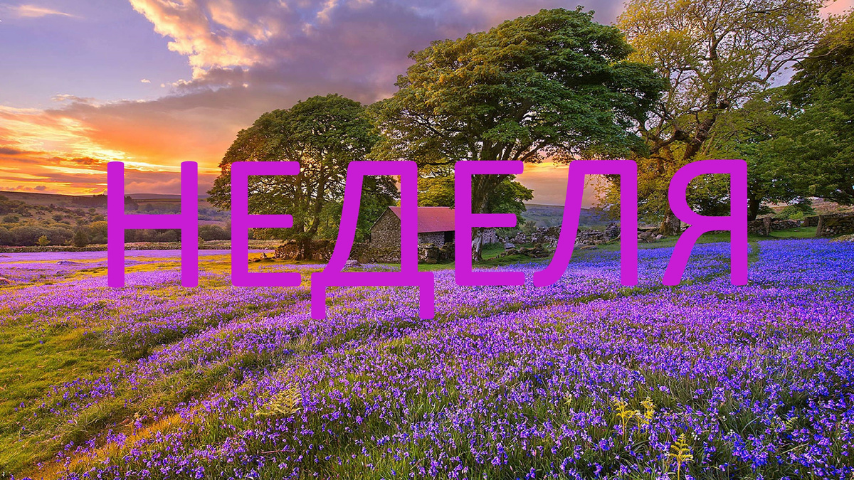 Летний пейзаж. Фото Pinterest