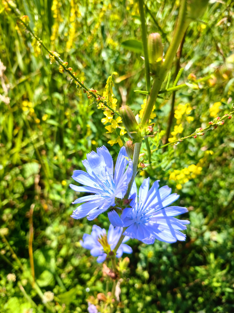 "Доброе утро, мир! Ты прекрасен!" Фото автора