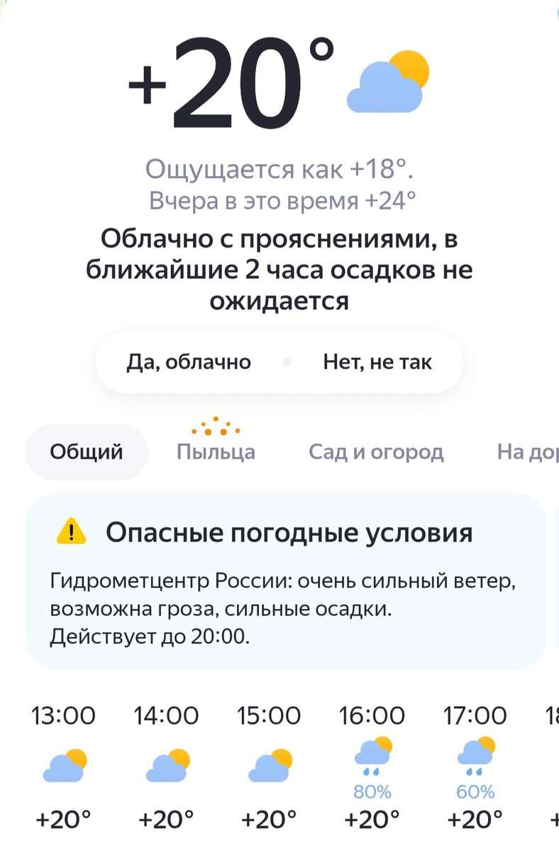 Погода жаркая, но дожди рассеивают тепло свежестью. Фото автора