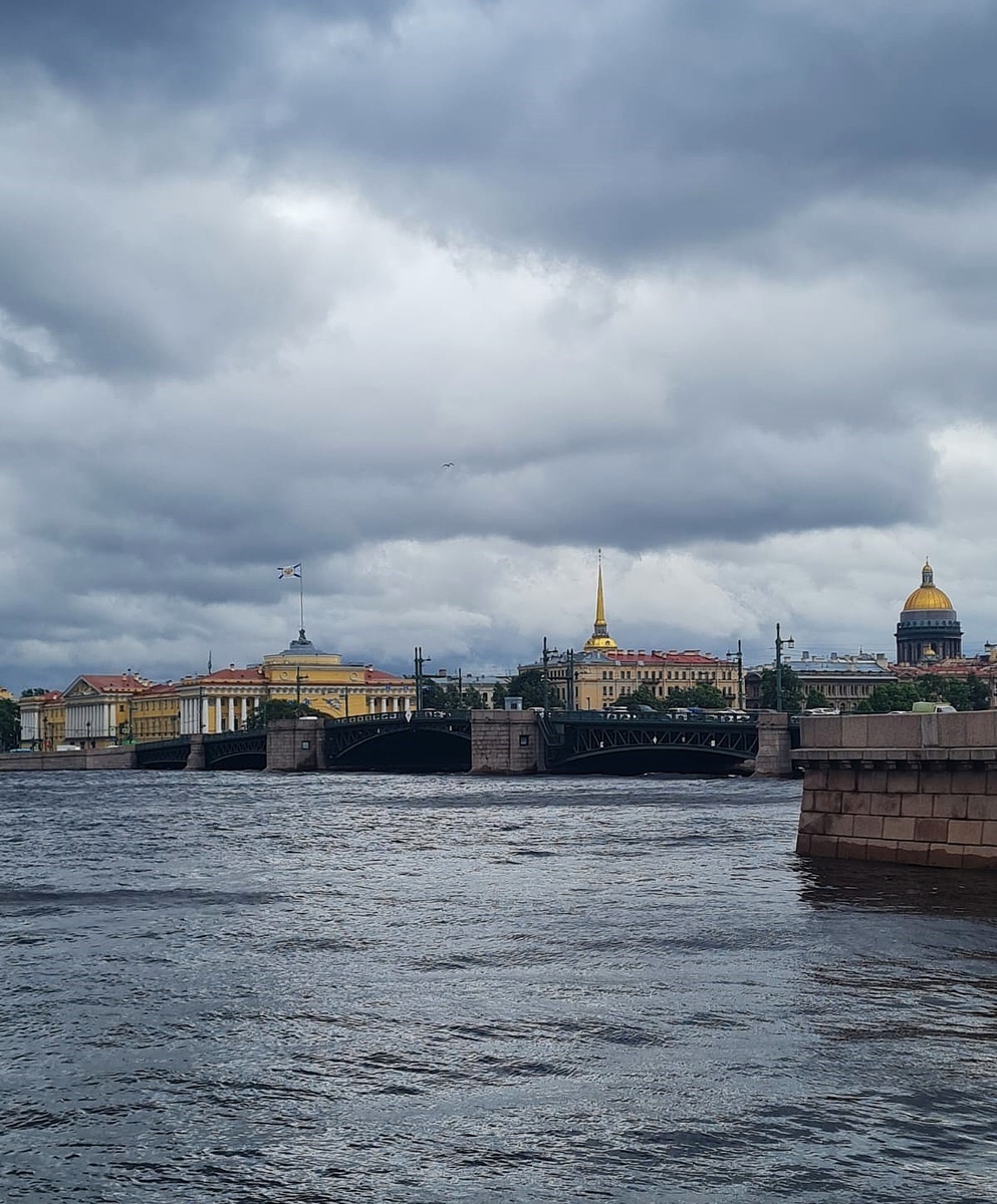 Фото из нашего чата (утро 4 июля)